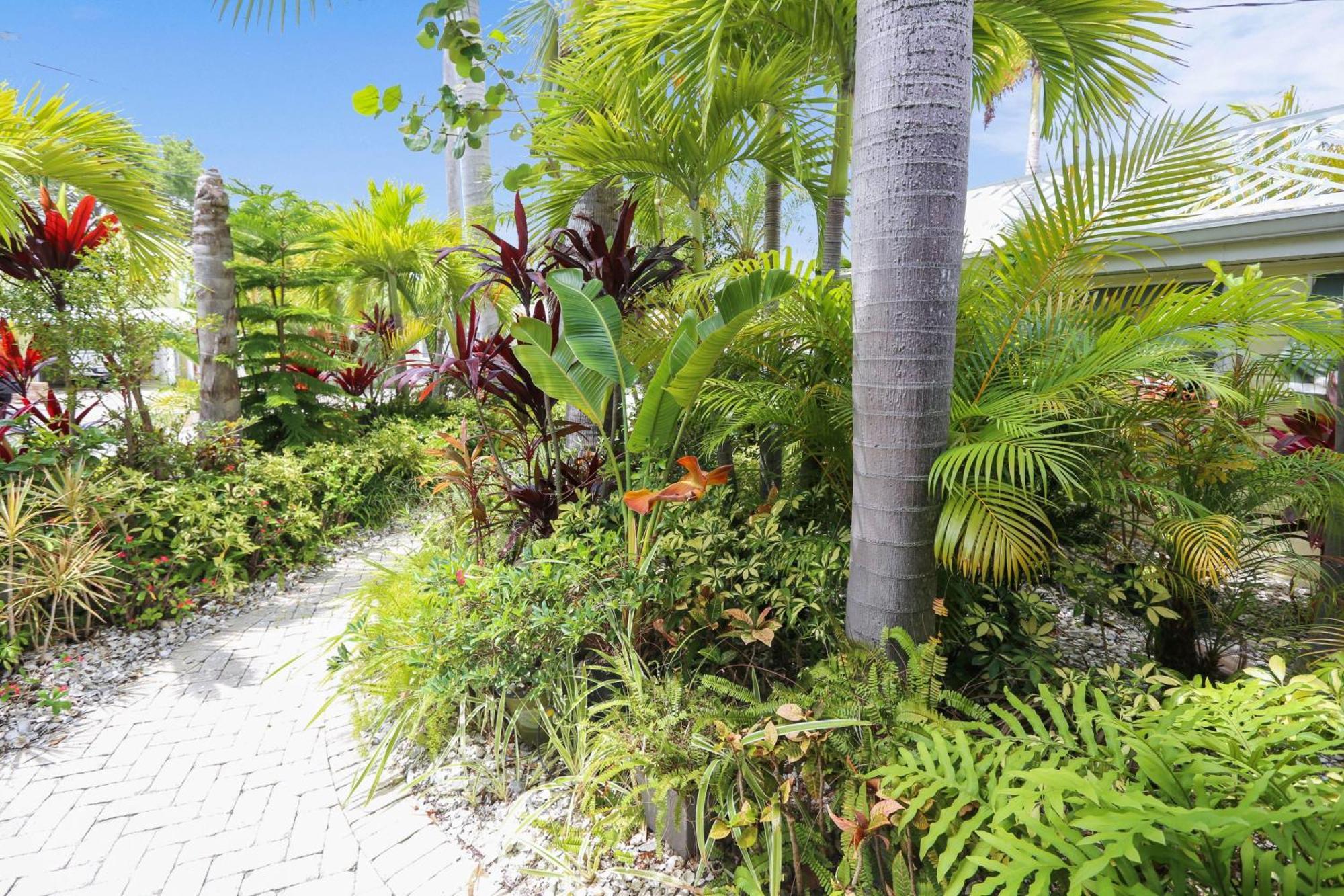 Coconut Paradise セント・ピート・ビーチ エクステリア 写真